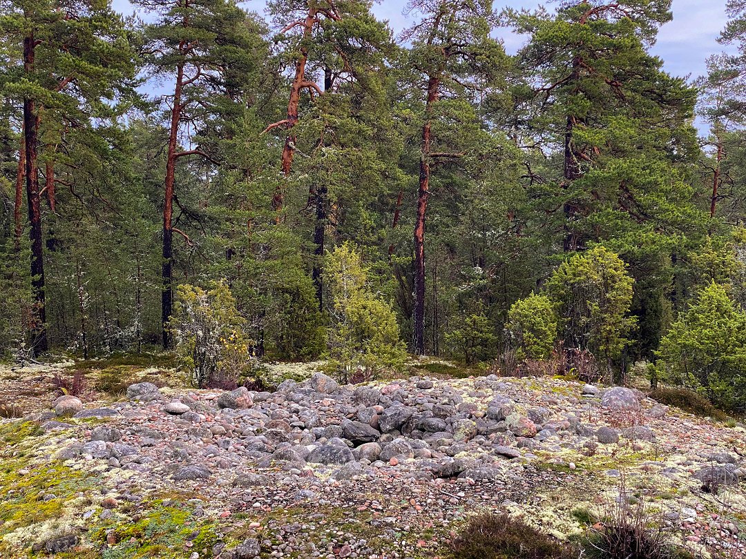 Rösaringsåsens naturreservat, Bro - november 2023 stone circle